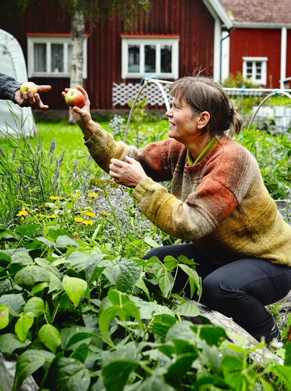 Sjöborgen Gastronomi, Smak och Dryckeri i Småland, ett alternativt självhushåll liv och leverne i Sverige